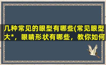 几种常见的眼型有哪些(常见眼型大*，眼睛形状有哪些，教你如何选择适合自己的眼镜  SEO)